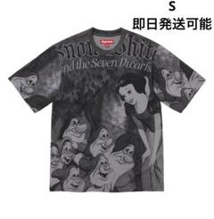 Supreme Snow White S/S Top Greyのサムネイル