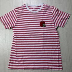 グラニフはらぺこあおむしTシャツ刺繍ボーダーLサイズ