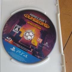 o*y様 Minecraft Dungeons Edition PS4 マインク