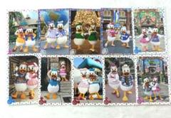 ディズニー スペシャルフォト ドナルド デイジー 写真 スペフォ ドナデジ