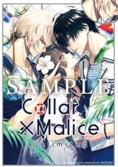 2025年最新】collar malice タペストリーの人気アイテム - メルカリ