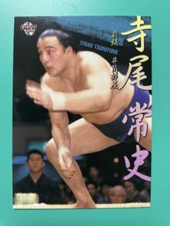 BBM2003 BBM 相撲カード T1〜T9 寺尾常史の23年 9枚セット BBM2003 BBM 相撲カード T1〜T9 寺尾常史の23年 9枚セット