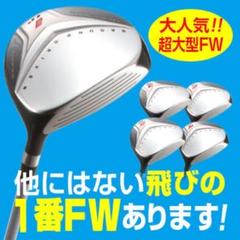 激飛び1.2番FWも★ 超大型激飛び2オン兵器★ワークスゴルフ フォーサイトFW