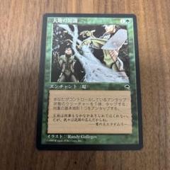 大地の知識　Earthcraft （１/３） 大地の知識/Earthcraft《英語》【TMP】