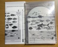 サカナクション 魚図鑑 完全生産限定盤プレミアムBOX 3CD 収納ケース Amazon.co.jp: 【メーカー特典あり】魚図鑑(3CD+魚大図鑑))(完全