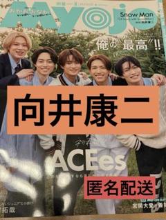 【射流】向井康二まとめ売り 岩本照 ⛄️向井康二 ⛄️Snow man A4サイズファイリング済み