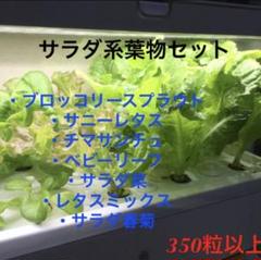 f.水耕栽培 レタス サラダ 葉物野菜の種子セット 7種類