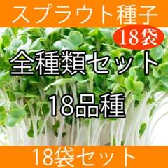 スプラウト種子全種類まとめ買いセット