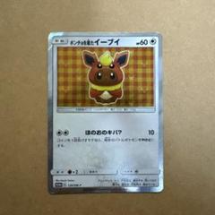 ポンチョを着たイーブイ(ブースター)(139/SM-P) | プロモ
