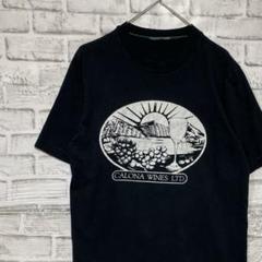 USA製90sヴィンテージTシャツ！シングルステッチ　ブラック半袖古着M79