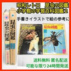 昭和レトロ 小学館の学習百科図鑑 2巻 昆虫の図鑑 手書き