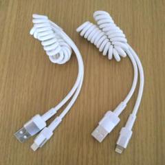☘️USB-C ライトニングケーブル iPhone充電ケーブル 2本セット