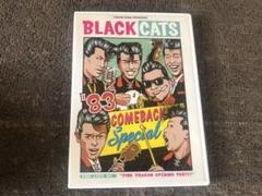 ブラックキャッツ '83 COMEBACK Special ポスター 帯 付き