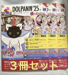 新品　ホームタウンドルパ　大阪 10 ドールズパーティ　ガイドブック　入場券