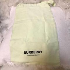 BURBERRY シューズバッグ ライトグリーン