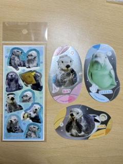 鳥羽水族館　シールくじ 大当たり BIG缶バッジ　ステッカー５点セット 鳥羽水 シールくじ メイちゃんキラちゃん 特大缶バッジ 大当たり