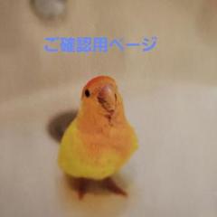 ✳️あゆみ様✳️ご確認用ページ