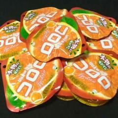 コロロ 愛媛県産いよかん まとめて10袋