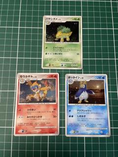 ポケモンカード DPプロモ モウカザル ポッタイシ ハヤシガメ 3枚セット