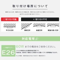 ガラスシェード付き1灯ペンダントライト　エレガント　花