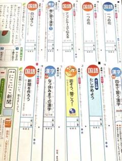 小4 小学4年生 4年 国語 光村図書 新学社 カラーテスト 22枚 おすすめ】 4年 カラーテスト答え 国語 光村図書 ① 新学社 語学