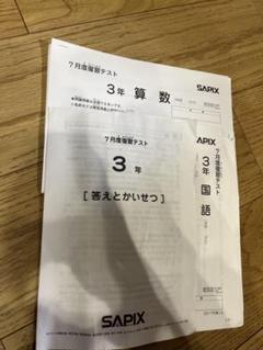 2025年最新】sapix 3年生の人気アイテム - メルカリ