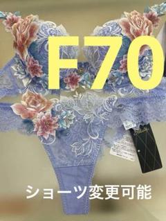 ワコール/サルート 09 店舗限定✨新品タグ付 P-upブラソングM E70 ワコール/サルート 09 店舗限定✨新品タグ付 P-upブラソングM