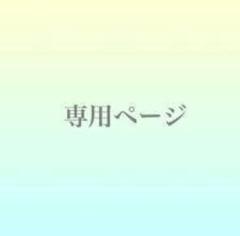 BTSペルソナサノク逆サポート家族写真公式品