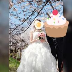 ウェディングドレス(マタニティ用)一式セット