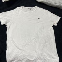美品　ラコステ　Tシャツ　th622em