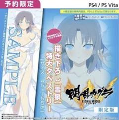 閃乱カグラ ESTIVAL VERSUS -少女達の選択- 予約特典タペストリー