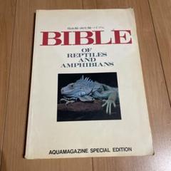 2025年最新】アクアマガジンの人気アイテム - メルカリ