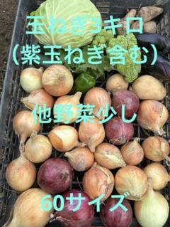 新鮮な野菜セット（玉ねぎ、紫玉ねぎ3キロ）のサムネイル