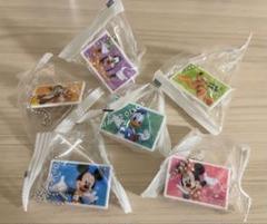 ディズニー　ミニチュア　パークチケット　チャーム　名札　新品未使用　バラ売不可