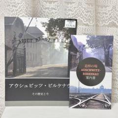 【一時値下げ中】Richter \
