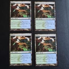 MTG 繁殖池 Breeding Pool 日本語4枚セット - メルカリ