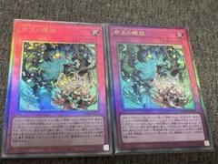 コンビニ支払い不可　命王の螺旋　ドミナススパイラル　レリーフ３枚 遊戯王 命王の螺旋 ドミナススパイラル レリーフ3枚 - メルカリ