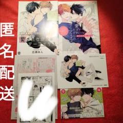 百瀬あん　愛されたがりのサーフェイス　特典セット　リーフレット　小冊子　ペーパー
