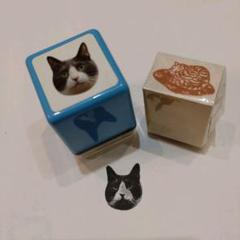 岩合光昭 スタンプの中古/未使用品 - メルカリ 岩合光昭 スタンプの中古/未使用品 - メルカリ