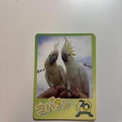 鳥羽水族館トレカ コバタン ポーポー あーちゃん 在庫2枚