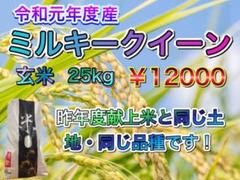 令和元年産ミルキークイーン 新米