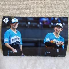 北海道日本ハムファイターズ　ハイライトフォト　伏見寅威　谷内コーチ
