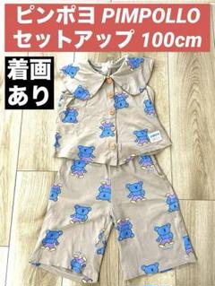 ピンポヨ セットアップ 100