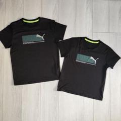 PUMA　兄弟おそろい　半袖Tシャツ　140 150　ペア