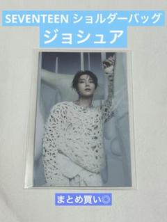 SEVENTEEN セブチ ジョシュア ジス シュア グッズまとめ売り SEVENTEEN セブチ ジョシュア joshuaトレカセット まとめ売り