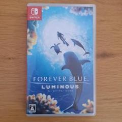 FOREVER　BLUE　Luminous　フォーエバーブルー　ルミナス