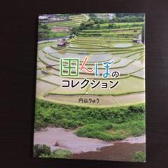 田んぼのコレクション