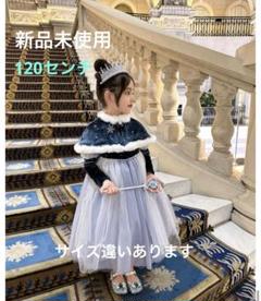 2025年最新】エルサ ポンチョの人気アイテム - メルカリ