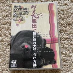 犬 しつけ Dvdの検索結果 メルカリ