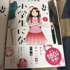 妻、小学生になる全巻セット